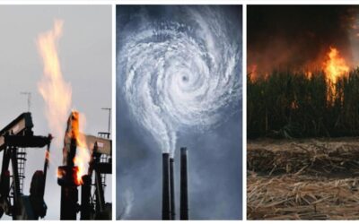 EL CINE Y EL CAMBIO CLIMATICO