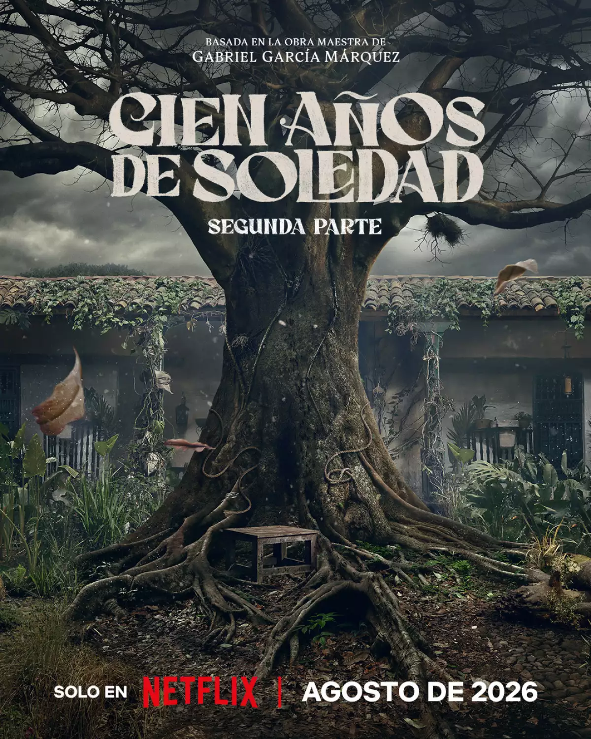 descarga 100 años